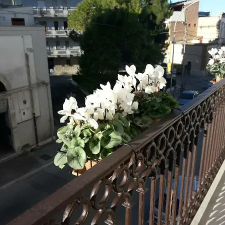 Bed & Breakfast Saffi Canosa di Puglia